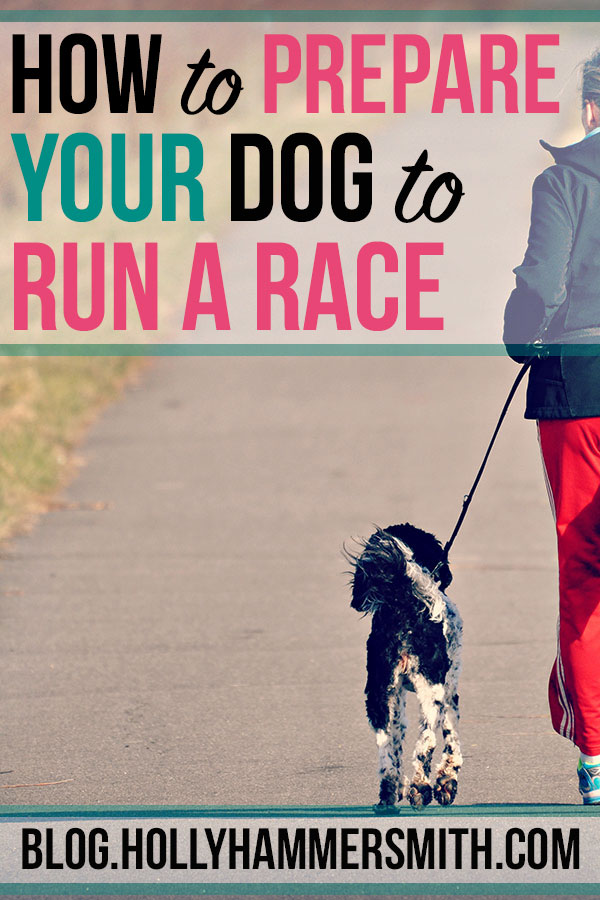How to Prepare Your Dog for a Race