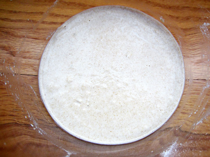 Sourdough Starter Day by Day