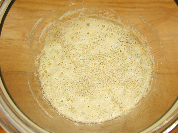 Sourdough Starter Day by Day
