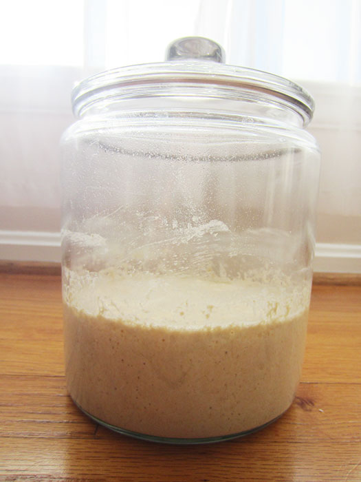 How to Make Sourdough Starter From Scratch